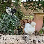 Entspannt In - Einhoernchen Daire